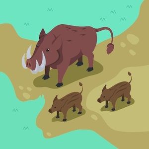 Meet your Posher, Thomas